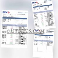 东南亚|越南 Vietnam BIDV Statement 银行账单/KYC地址证明pdf
