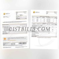 拉脱维亚elektrum电费账单 地址证明 Latvian Elektrum electricity bill Proof of address