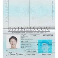 南亚| 印度护照 India Passport Template PS/Photoshop/PSD模板（V2）