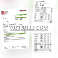 奥地利地址证明 电费账单 Montana-Energie Electricity Utility Bill