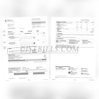 新加坡 水电费账单  SPgroup 燃气水费账单 地址证明 Singapore utility bills (water and electricity), SPgroup gas and water bills, proof of address
