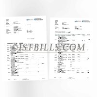 瑞士ZBK银行账单 地址证明 Swiss ZBK bank statement Proof of address