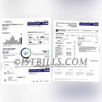 美国伊利诺伊州地址证明 COMED电费账单 Illinois, USA Address Proof COMED Electricity Bill
