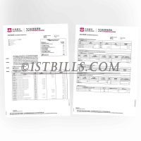 香港大新银行 营商理财账单 公司地址证明 收入 资产证明 Hong Kong Dah Sing Bank Business Banking Statement Company Address Proof Income Asset Proof