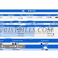 UK Payslip 英国工资单 收入来源证明 时薪工资单 收入证明 熊猫速汇 Pandaremit Wise Payslip Salary 带公司名字 英文名（收入证明）