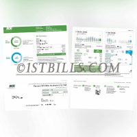 美国马里兰州BGE电费燃气费账单 Maryland BGE Electricity and Gas Bills