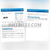 花旗银行信用卡账单 中国地址证明 China Citibank credit card statement China address proof