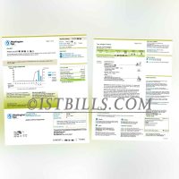 美国地址证明 弗吉尼亚州 Washington Gas电费账单 Proof of U.S. Address Virginia Washington Gas Electricity Bill