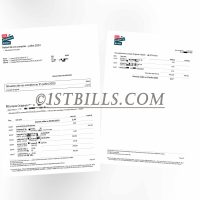 法国银行账单地址证明 France Ma French Bank Statement PDF