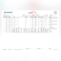 中国民生银行个人账户 工资流水对账单定制 Customized China Minsheng Bank Personal Account Salary Statement