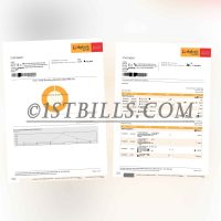 东南亚｜印度尼西亚 digi Bank by DBS 地址证明 Southeast Asia Indonesia digi Bank by DBS Address Proof