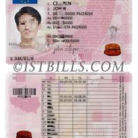 欧盟| 波兰驾照/驾驶证PSD模板(V2) Poland Driving Licence PSD