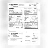 怀俄明州水电费账单 Montana-Dakota 电费账单 Wyoming water and electricity bills - Montana-Dakota electricity bills