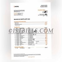 法国Nickel银行账单 地址证明 France Nickel Bank Statement PDF