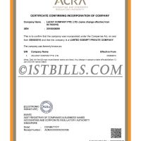 新加坡企业营业执照pdf模板 Singapore Company Certificate pdf