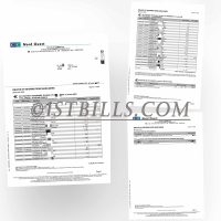 法国工商信贷银行账单 地址证明 France CIC Bank Headquarters Bank Statement PDF