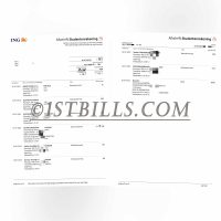 荷兰 ING银行账单 欧盟地址证明 Netherland ING Bank Statement PDF