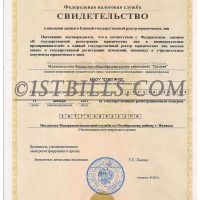 俄罗斯公司营业执照PS/PSD模板（V2版）Russian Company OGRN Certificate PS/PSD（V2）