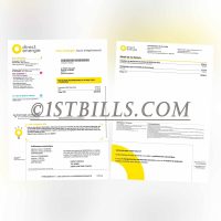 法国 地址证明 Direct Energi电费账单 地址证明 法语水电费账单 French address proof: Direct Energie electricity bill, address verification, French utility bill.