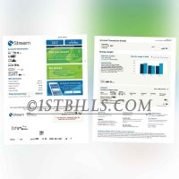 美国地址证明 得克萨斯州 Stream电费账单 Proof of U.S. Address Texas Stream Electricity Bill