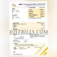 澳门水电费账单 地址证明 澳门电力电费账单 Macau utility bill (electricity and water) - Proof of address - Macau electricity bill
