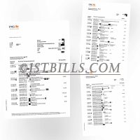 德国ING银行账单 欧盟地址证明 Germany ING Bank Statement PDF