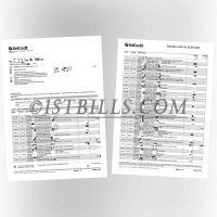 意大利 裕信银行账单 地址证明 Italy UniCredit Bank Statement Proof of Address