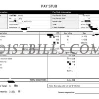 美国收入证明 工资单 收入来源 U.S. income certificate pay slip income source