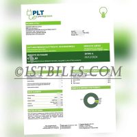 意大利PTL Puregreen电费账单 水电费账单 意大利地址证明 Italian PTL Puregreen electricity bill, utility bill, Italian address proof