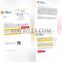 英国ShellEnergy水电账单 地址证明 电费燃气账单 ShellEnergy Electricity and Gas Bill PDF