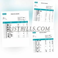 马来西亚BSN银行账单 工资流水 Malaysia BSN Salary Statement
