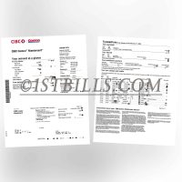 加拿大 帝国商业银行信用卡账单 地址证明 Canadian Imperial Bank of Commerce credit card statement Proof of address