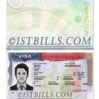 美国VISA签证 护照页 PSD模板 USA Tourist Visa Passport PSD Template