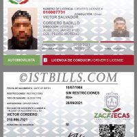 北美|墨西哥驾照/驾驶证 Mexico Driver License PS/PSD模板（打印版）