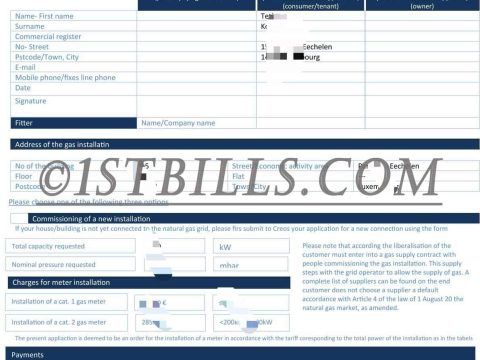 卢森堡地址证明 Creos燃气账单 Luxembourg address proof Creos gas bill