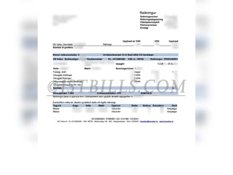 冰岛 水电账单 Hsveitur 电费账单 地址证明 Icelandic water and electricity bills, Hsveitur electricity bill, proof of address