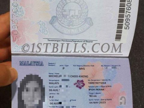 东南亚|Malaysia Passport马来西亚新版护照手持照PS/Photoshop/PSD模板