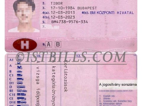 欧盟| 匈牙利驾照/驾驶证 Hungary DL ps/photoshop/PSD模板（V1）