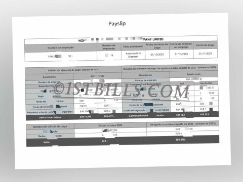 西班牙工资单 西班牙语工资单 收入来源证明 nómina española Spanish Payroll Prueba de fuente de ingresos