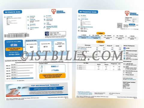 马来西亚地址证明 Tenaga Nasional电费账单 Proof Of Malaysian Address Tenaga Nasional Electricity Utility Bills