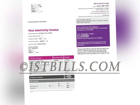 英国电费账单 地址证明 npower电费 UK electricity bill Proof of address npower electricity bill