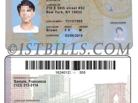 北美| 美国纽约ID卡/身份认证卡 USA PSD/photoshop/PS模板