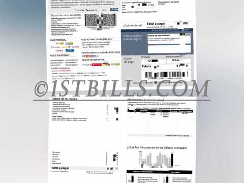 智利CGE电费账单 地址证明 Chilean CGE utility bill Proof of address