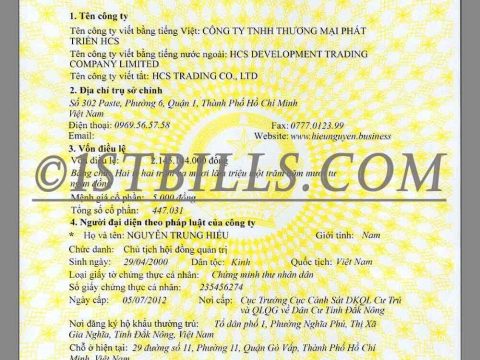 越南公司营业执照PS/PSD模板(高清版) Vietnam Company Certificate Template PS/PSD