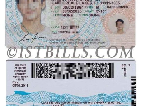 美国|佛罗里达/佛州驾照/驾驶证PSD模板V2 USA Florida DL(V2)