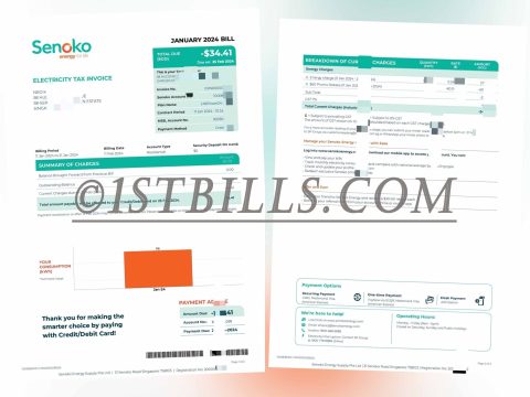 东南亚|新加坡地址证明 Senokoenergy电费账单 Singapore Senokoenergy Electricity Bill PDF