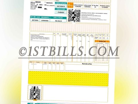 巴西Light电费账单 地址证明 Brazilian address proof Light electricity bill