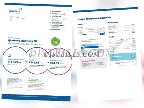英国地址证明 电费账单UK power ni Electricity bill