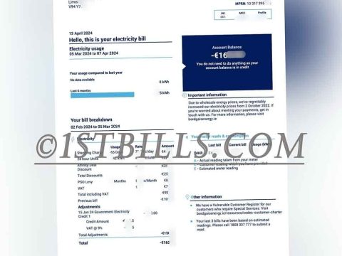 爱尔兰地址证明 Bord Gáis Energy 电费账单 Proof of address in Ireland Bord Gáis Energy electricity bill