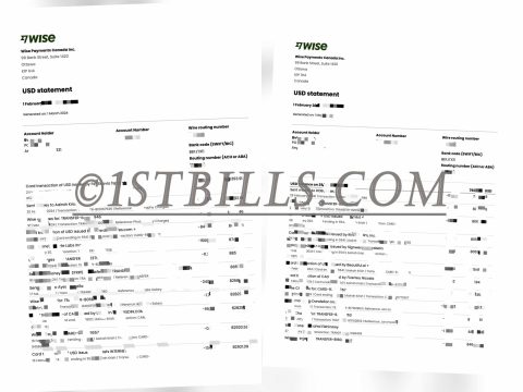 Wise公户USD美元账户流水账单 公司户流水定制 Wise public USD account statement, company statement customization